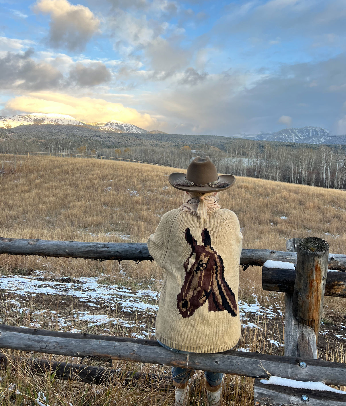 Western Horse Cardigan