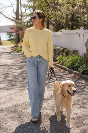 Chloe Solid Rollneck Sweater - Now in 7 Colors