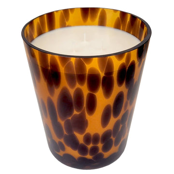 Amber Tortoise Soy Blend Candle